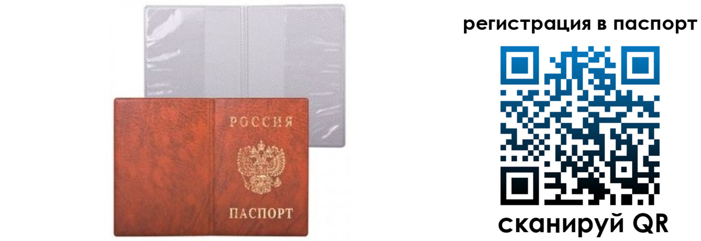 прописка ребенка в Лосино-Петровском